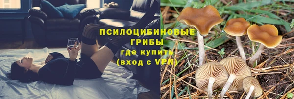 синтетический гашиш Медногорск