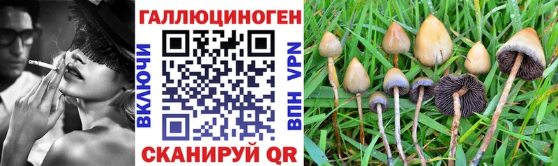 Галлюциногенные грибы Magic Shrooms Калачинск