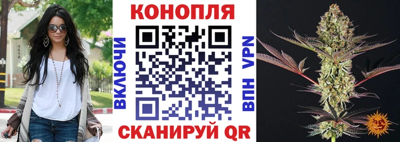 Конопля SATIVA & INDICA Калачинск